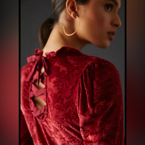 Anthropologie Tops - Anthropologie Sheer Velvet Burnout Top, Size S